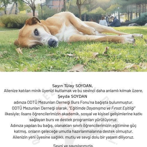 Hoşgeldin Bebek E-Kartı 2