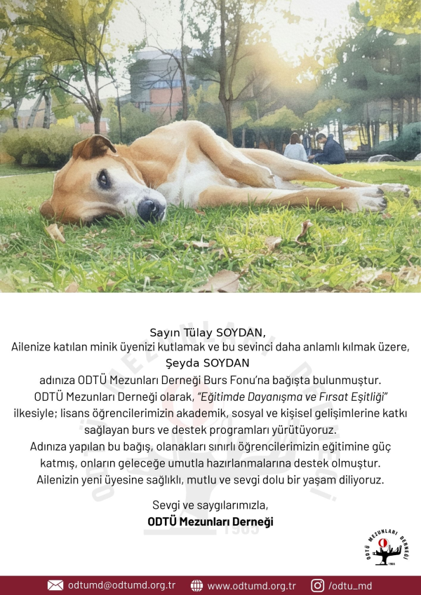 Hoşgeldin Bebek E-Kartı 2